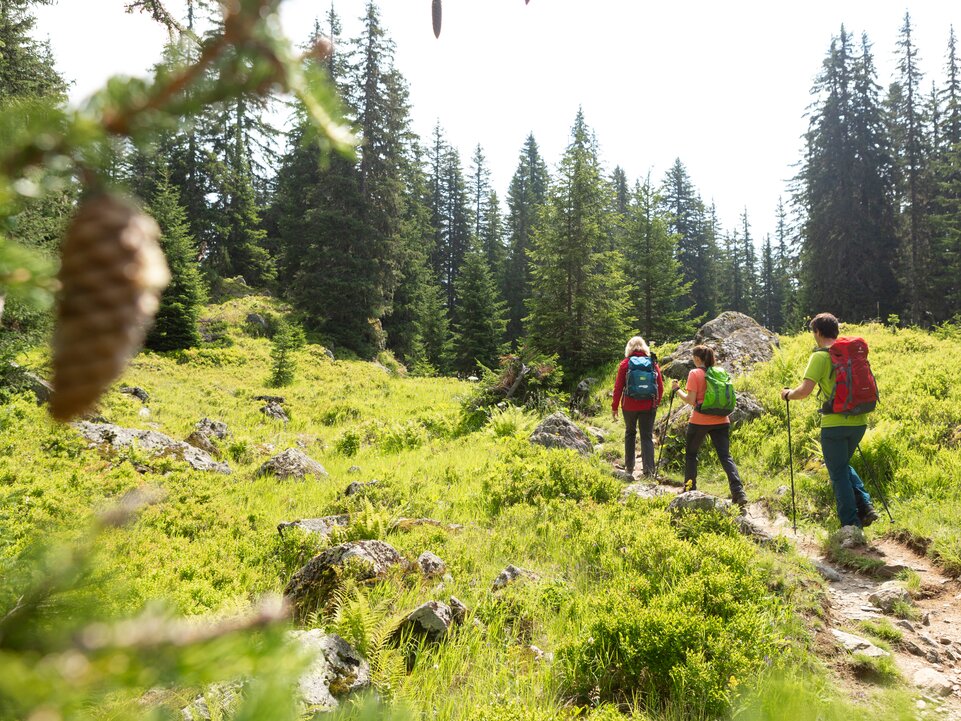 Wiegensee | © Montafon Tourismus GmbH, Stefan Kothner