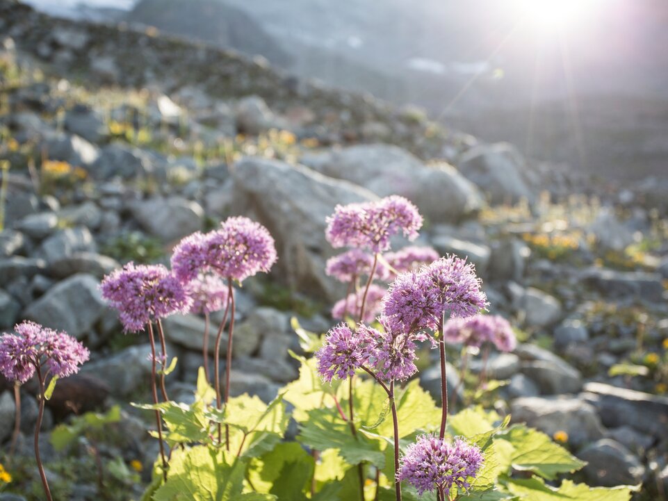 Entschleunigendes Impression #3 | © Montafon Tourismus GmbH Schruns, Daniel Zangerl