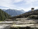 Fotoshooting Sommer 2014 Landschaft Gaschurn Ganeu, Holz | © Montafon Tourismus GmbH, Schruns